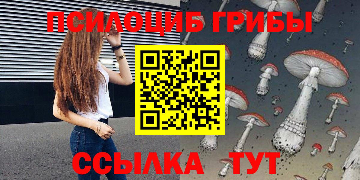 Псилоцибиновые грибы Psilocybine cubensis  Вход с VPN  Будённовск  Галлюциногенные грибы Psilocybine cubensis 